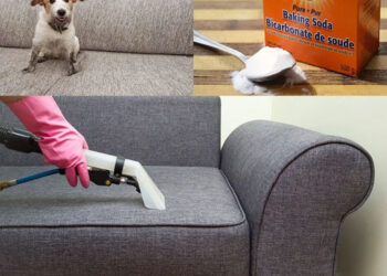 Cách làm sạch ghế sofa vải bằng baking soda