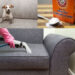 Cách làm sạch ghế sofa vải bằng baking soda