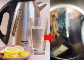 cách làm sạch ấm siêu tốc