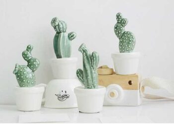 Có nên để xương rồng trong phòng ngủ hay không?