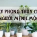 cây để phòng khách hợp mệnh Mộc